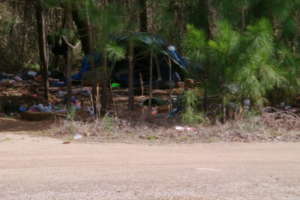 Homeless Vets' Tent in the Woods near a stream
