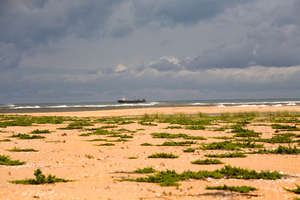 Trawler fishing illegally near the Sherbro River