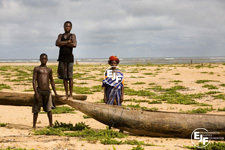 Save the Sea - Grassroots Training in Sierra Leone
