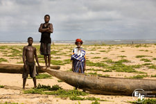 Save the Sea - Grassroots Training in Sierra Leone