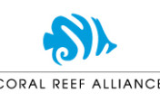 Advancing Coral Reef Conservation in Indonesia