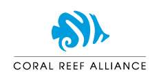 Advancing Coral Reef Conservation in Indonesia
