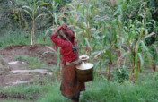 Give 110 Nepalese Families the Gift of Clean Water