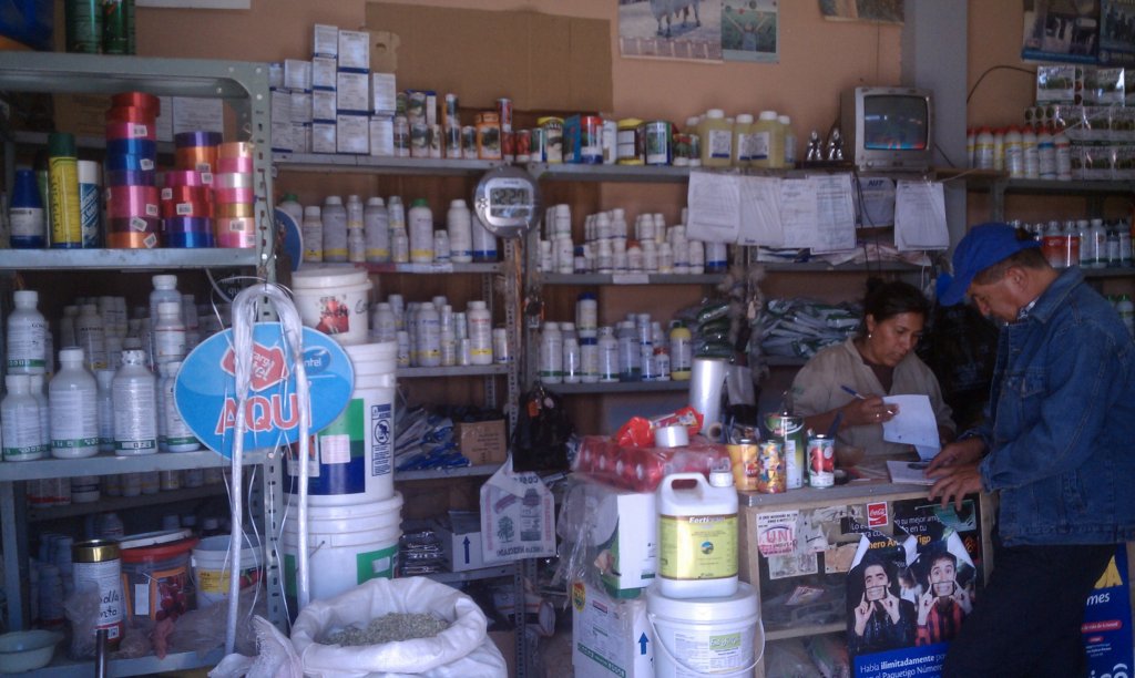 Empower 400 young leaders in Permaculture, Bolivia