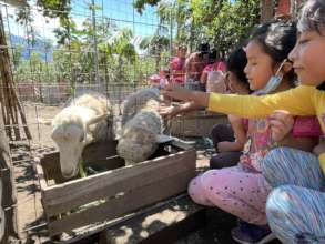 Field trip to a local farm