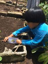 Mardoqueo planting beet root seeds