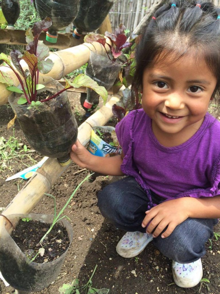 In-School Garden