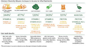 Dietary Diversity