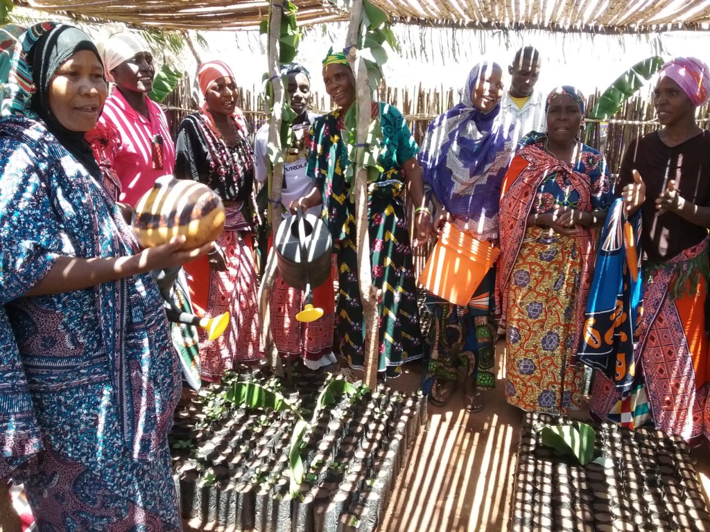 Help Tanzanian Farmers Get Water!