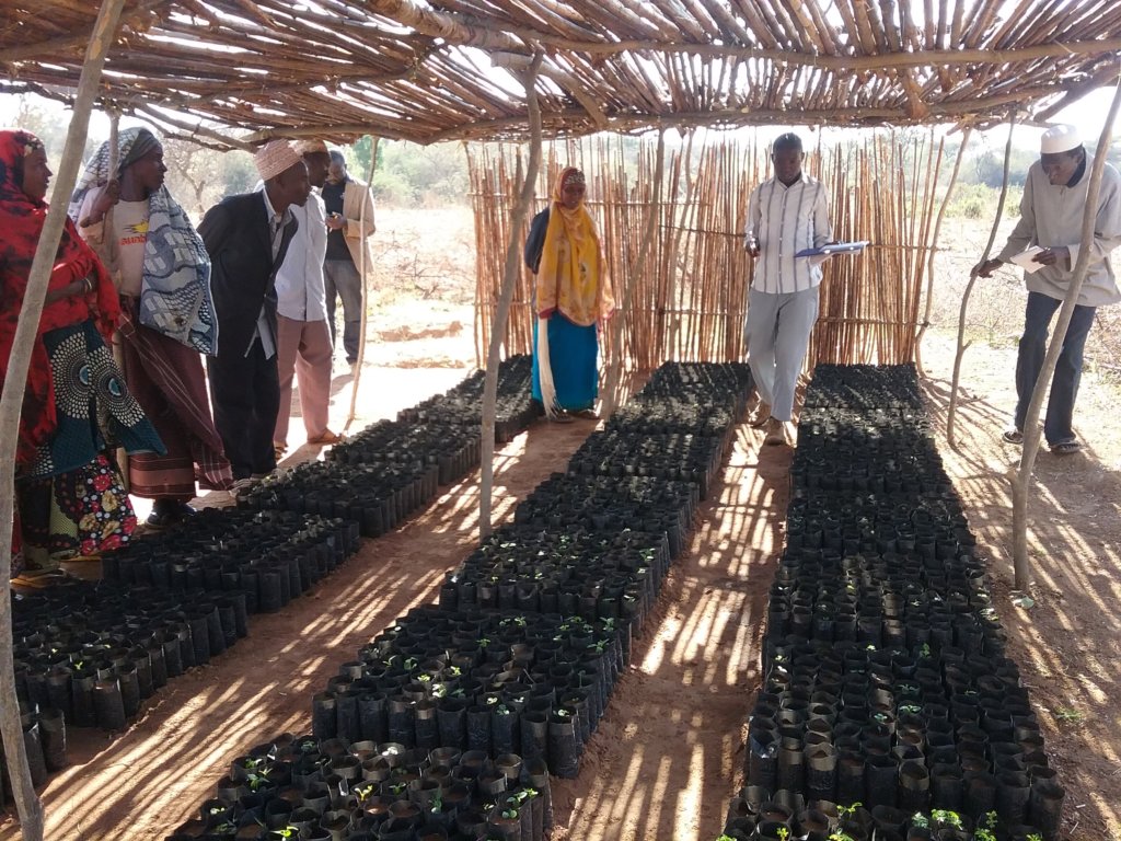 Help Tanzanian Farmers Get Water!