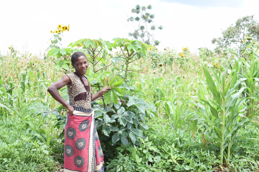 Help Tanzanian Farmers Get Water!