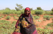 Help Tanzanian Farmers Get Water!