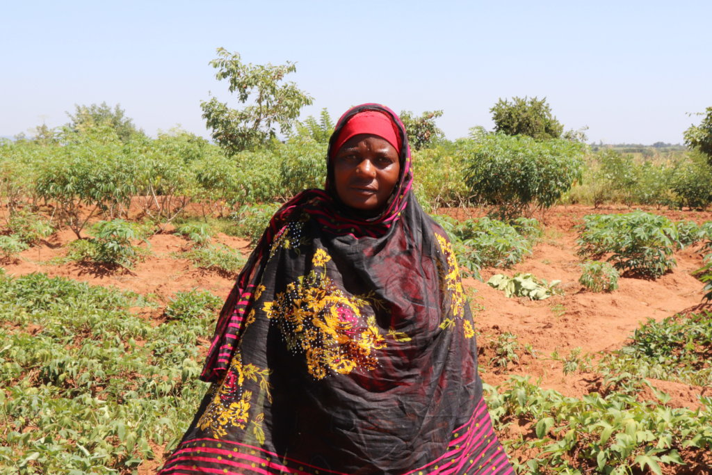 Help Tanzanian Farmers Get Water!
