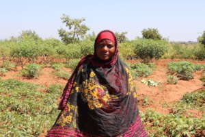 Help Tanzanian Farmers Get Water!