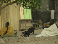 Living in the village