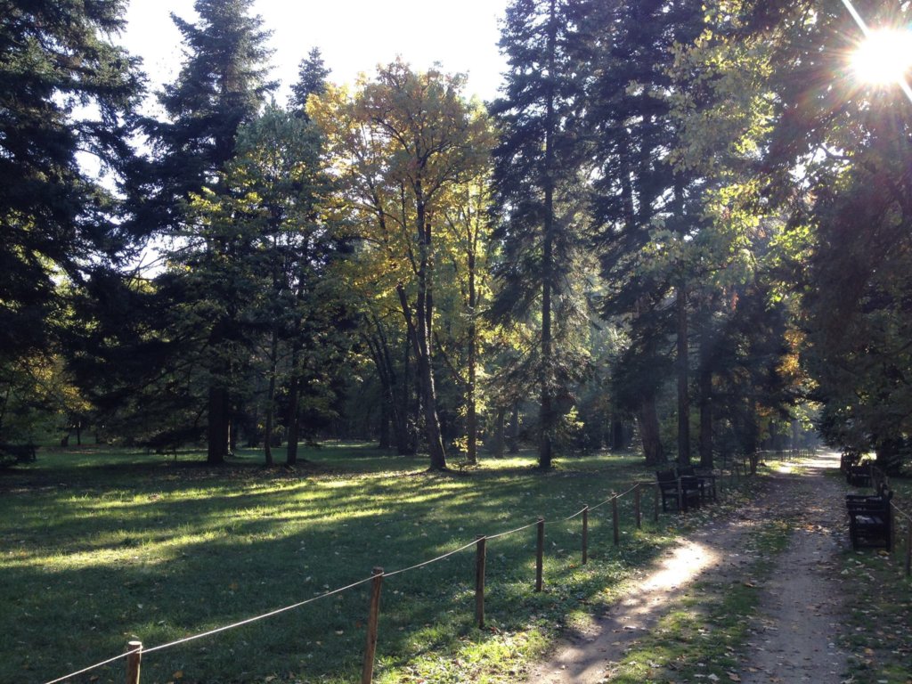 Planting a Forest to fight pollution in Sofia