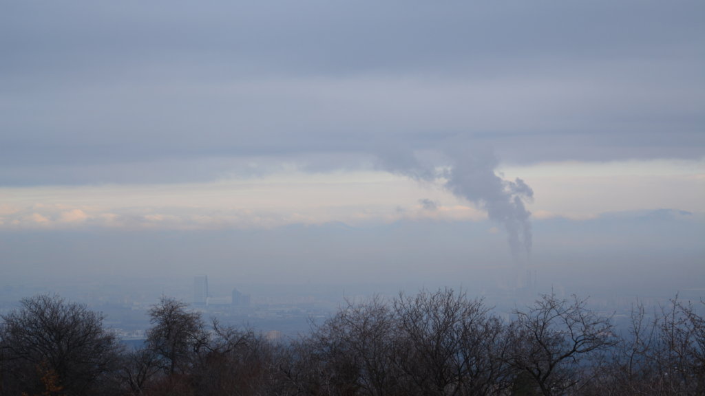 Planting a Forest to fight pollution in Sofia