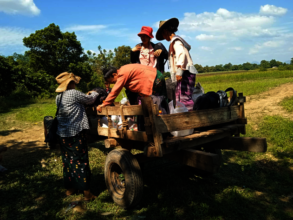 Local transportation to reach the displaced