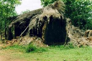 A house without repair is in short time destroyed