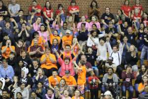 Excited spectators