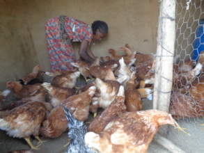 Chicken business