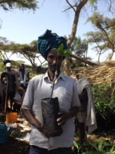 Emmanuel plants trees to feed his bees