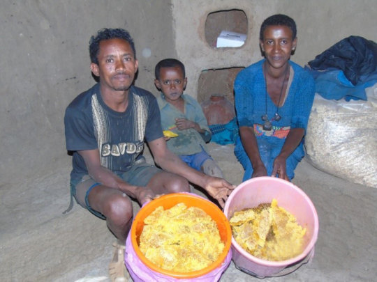 Honey harvested, income earned