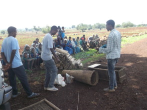 Beekeeping training underway