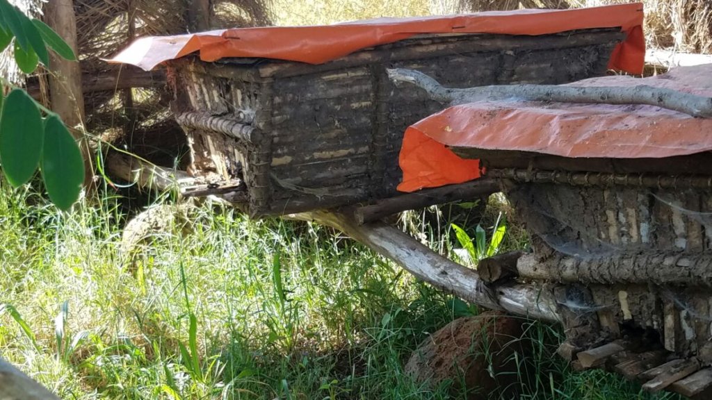New beehives made after the training, with bees