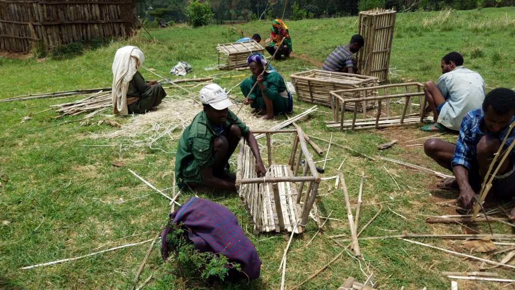 Beekeeping skills for 400 youth in Ethiopia