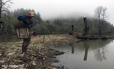 Restoring The Willamette River Confluence