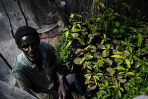 One of our farmers sits proudly with his tree nurs