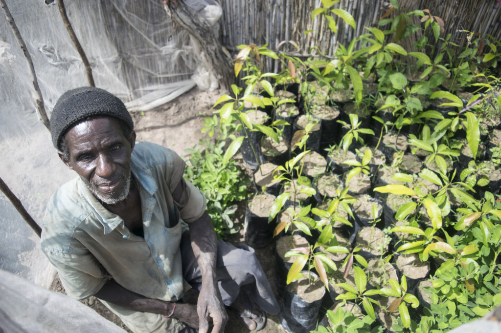 Help 244 Families Out of Poverty in Senegal!