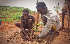 Help 244 Families Out of Poverty in Senegal!