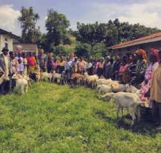 We bought 41 goats from 39 families