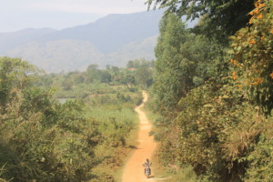Driving in the Rwenzori Mountains