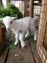 Our first Kid