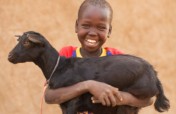 Buy 50 goats for Kyaninga CDC - Kids 4 Kids
