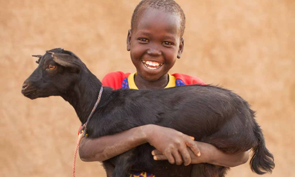 Buy 50 goats for Kyaninga CDC - Kids 4 Kids