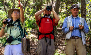On the expedition
