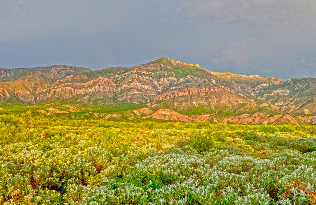 Protect critical understudied habitat in Mexico