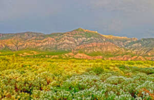 Protect critical understudied habitat in Mexico