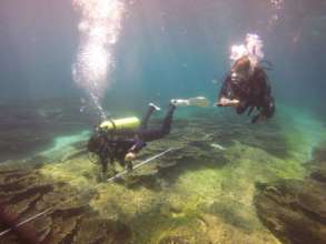 Community divers in action on a reef near Muscat.