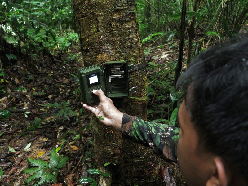 Community-based conservation and capacity-building