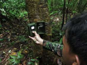Learning how to use a camera trap for tigers