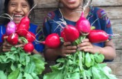 Teach 150 Maya Girls to Grow Vegetables