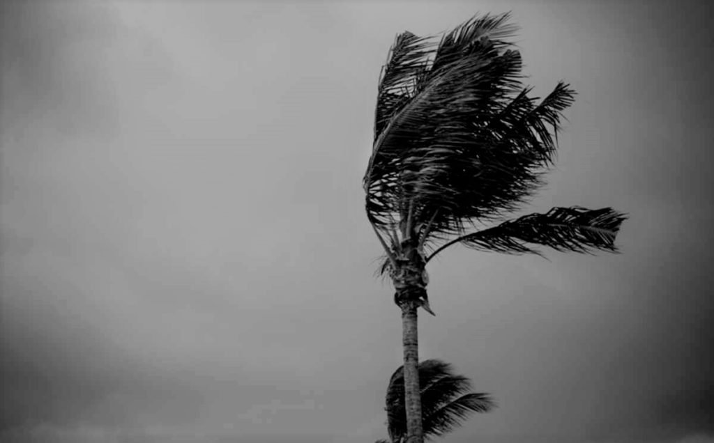 Cyclone Vardah