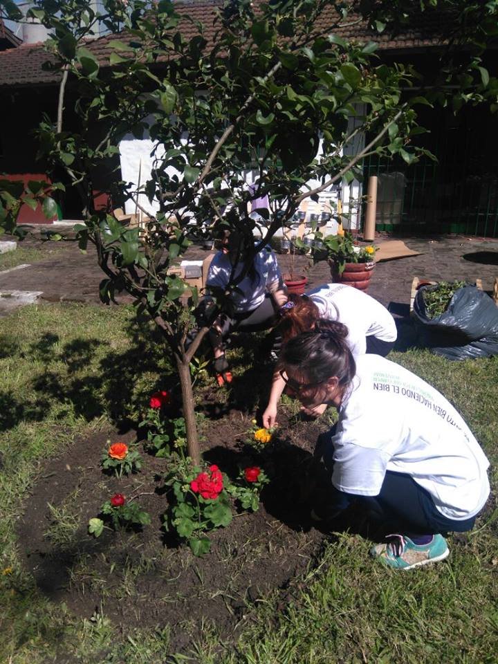 Build an Organic Garden for Children and Elderly