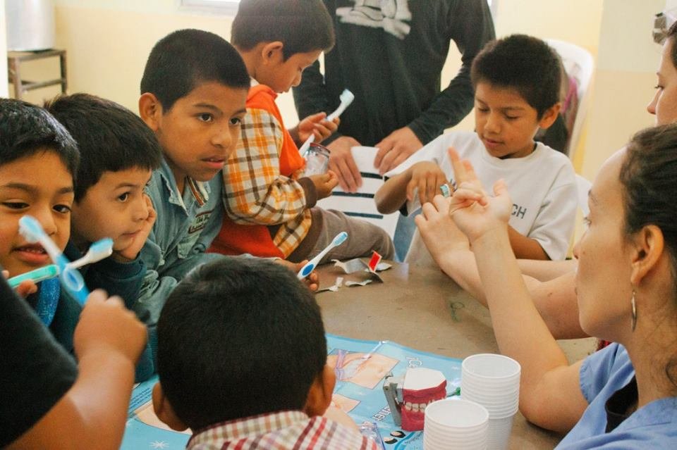 Build an Organic Garden for Children and Elderly