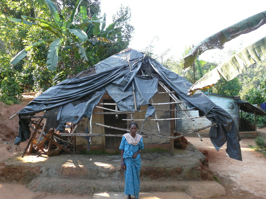 Build 14 new homes for indigenous tribes in India